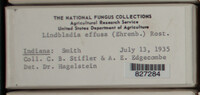 Image Associated With the Occurence